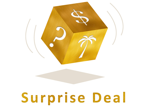 SurpriseDeal_5.-600x800.jpg