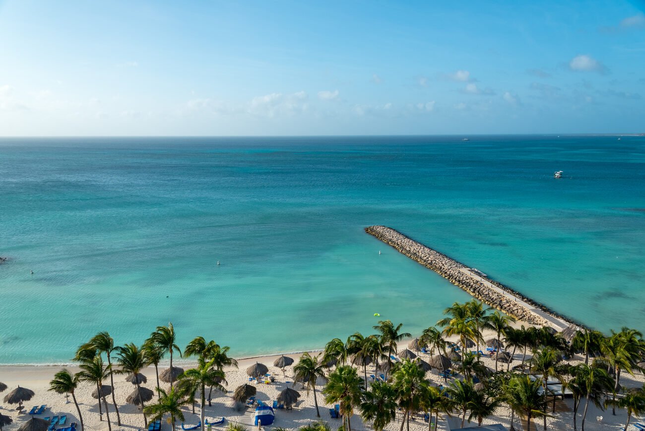 Palm trees near pier in ocean Aruba