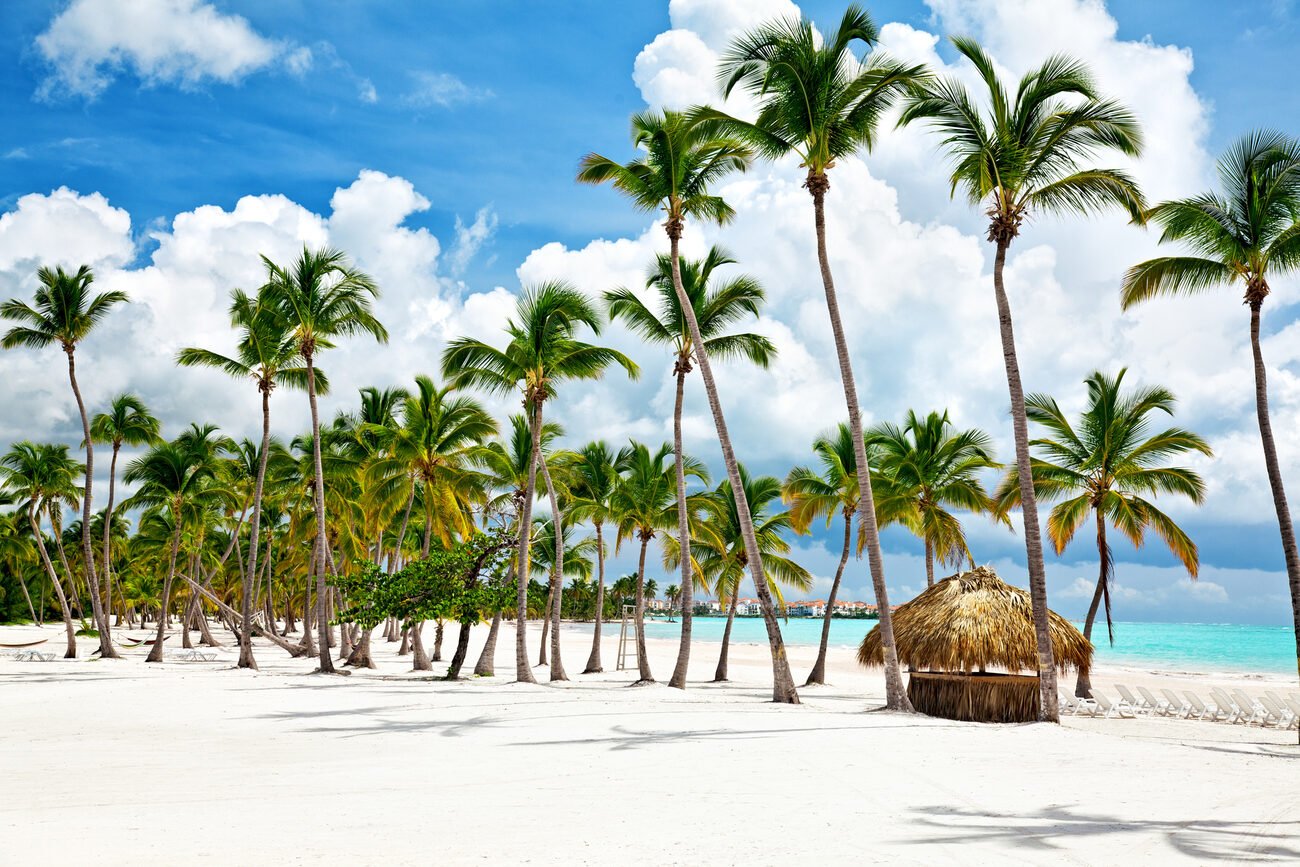 Palm trees beach Punta Cana