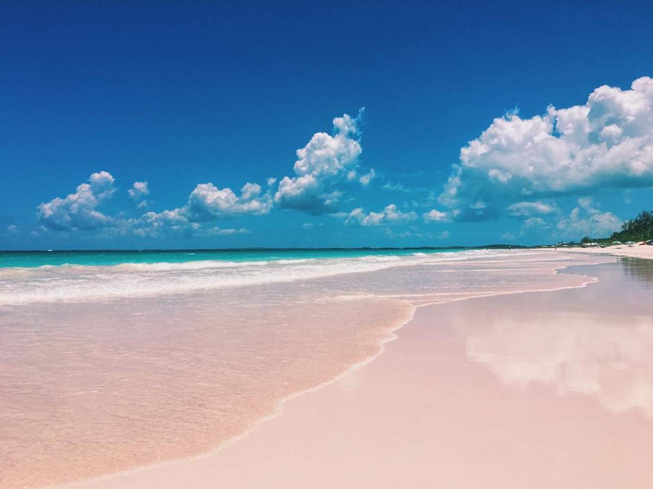 Pink sand beach in the Bahamas