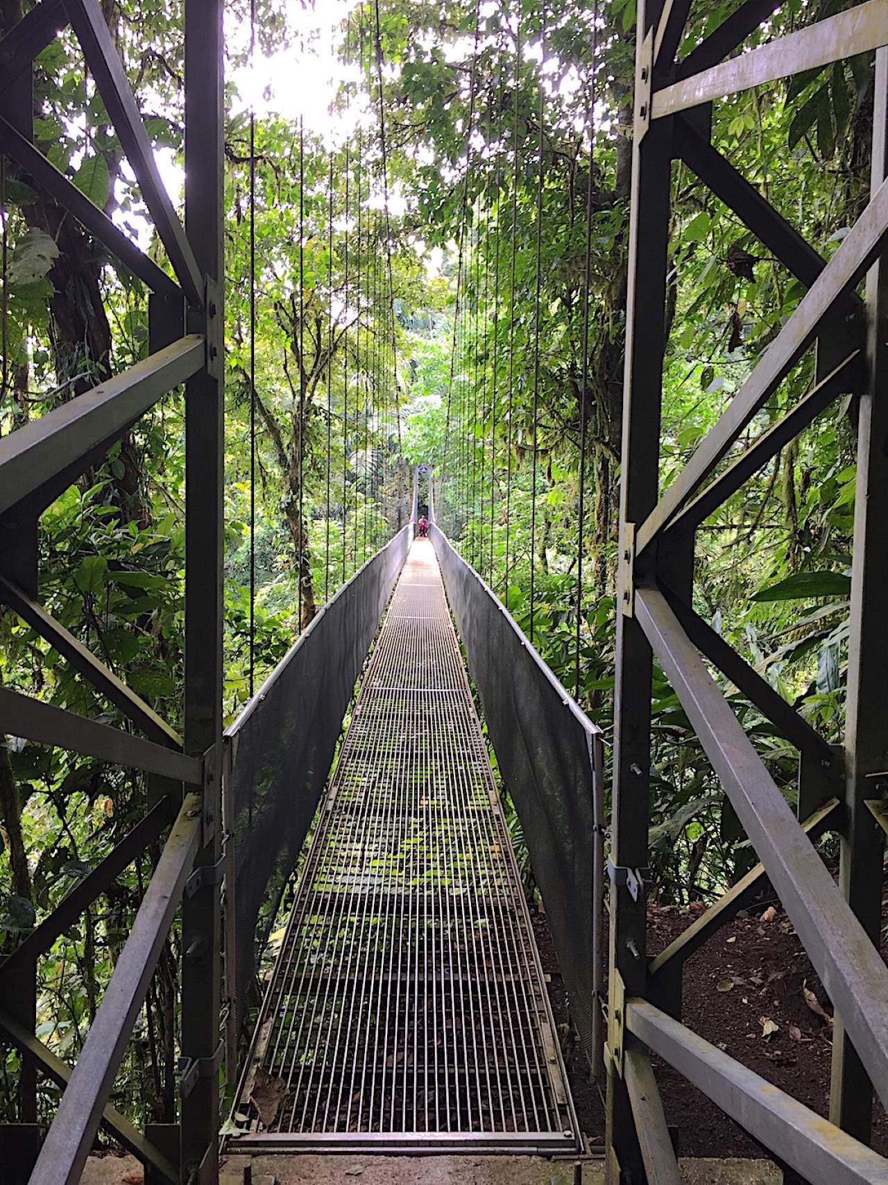 Suspension bridge in Costa Rica
