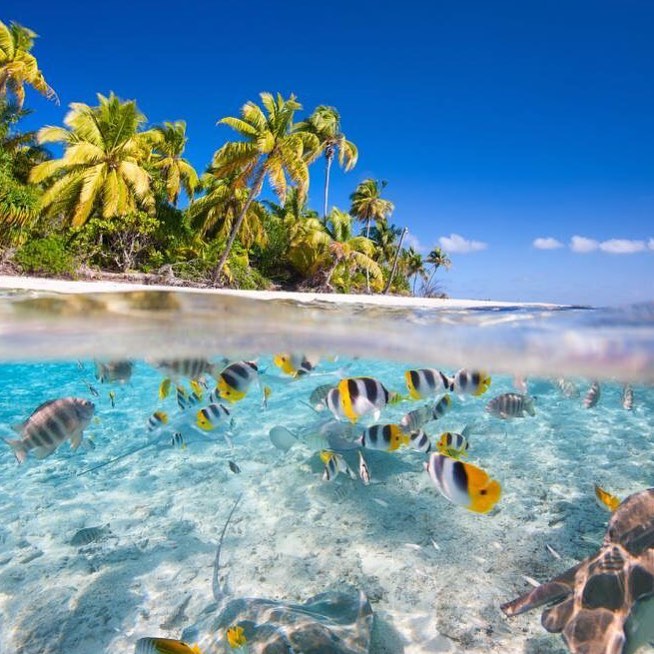 French Polynesia Vacations | Resorts & Hotels | Beachbound